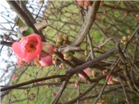 9e96d2d1-Picture 6834.jpg